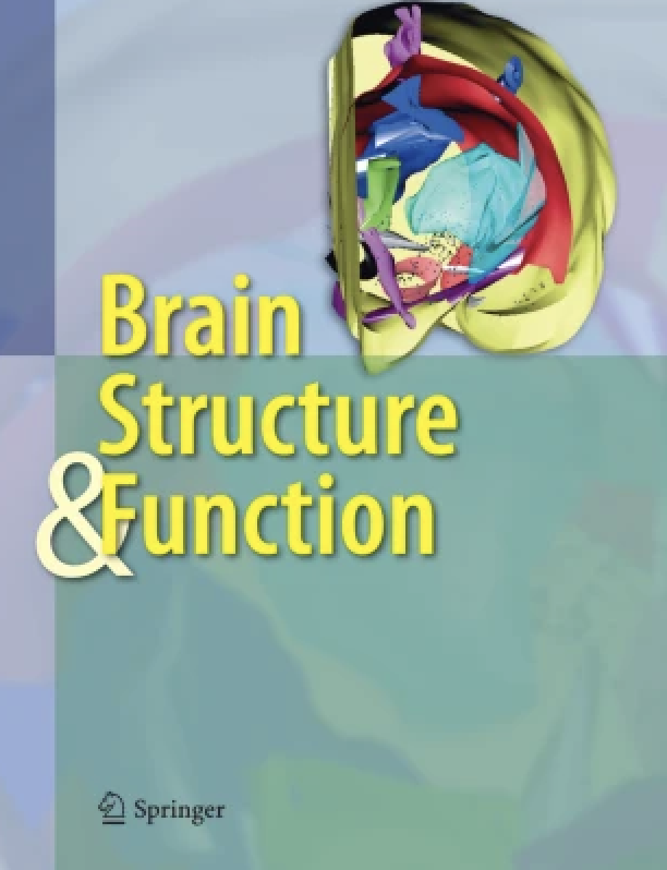 Brain Structure and Function cover