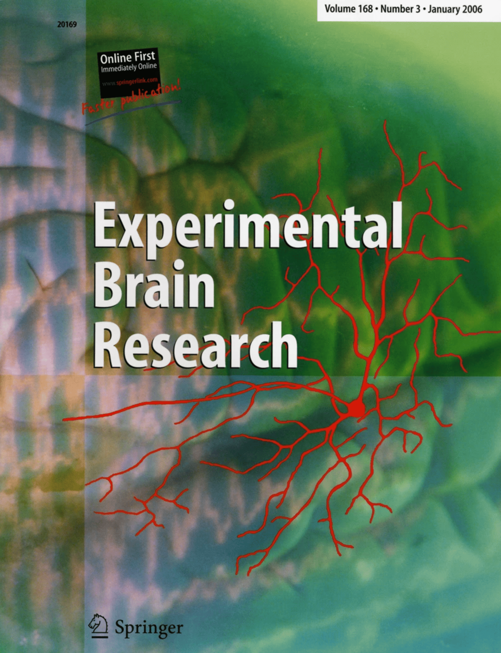 Experimental Brain Research cover