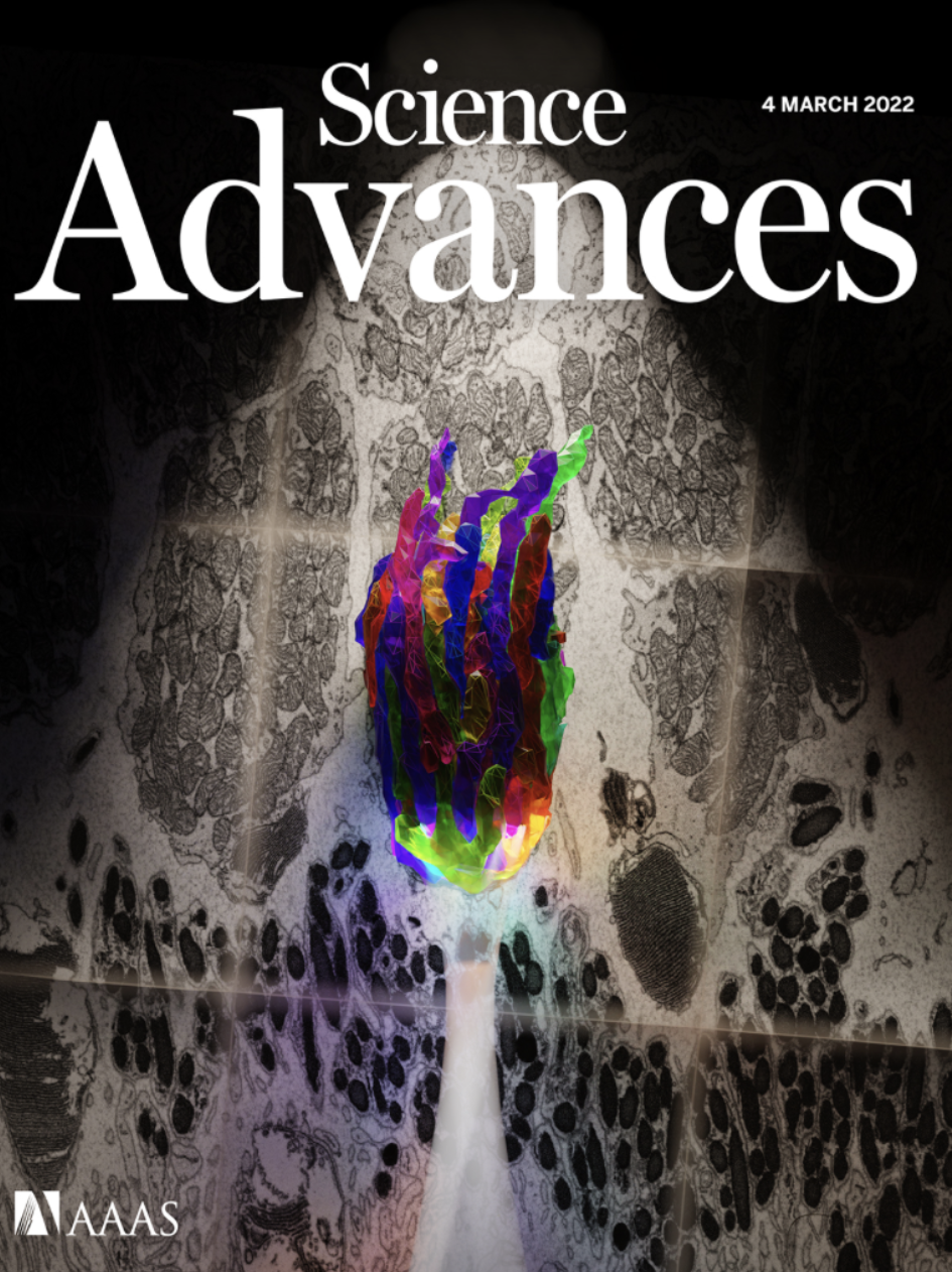 Science Advances cover